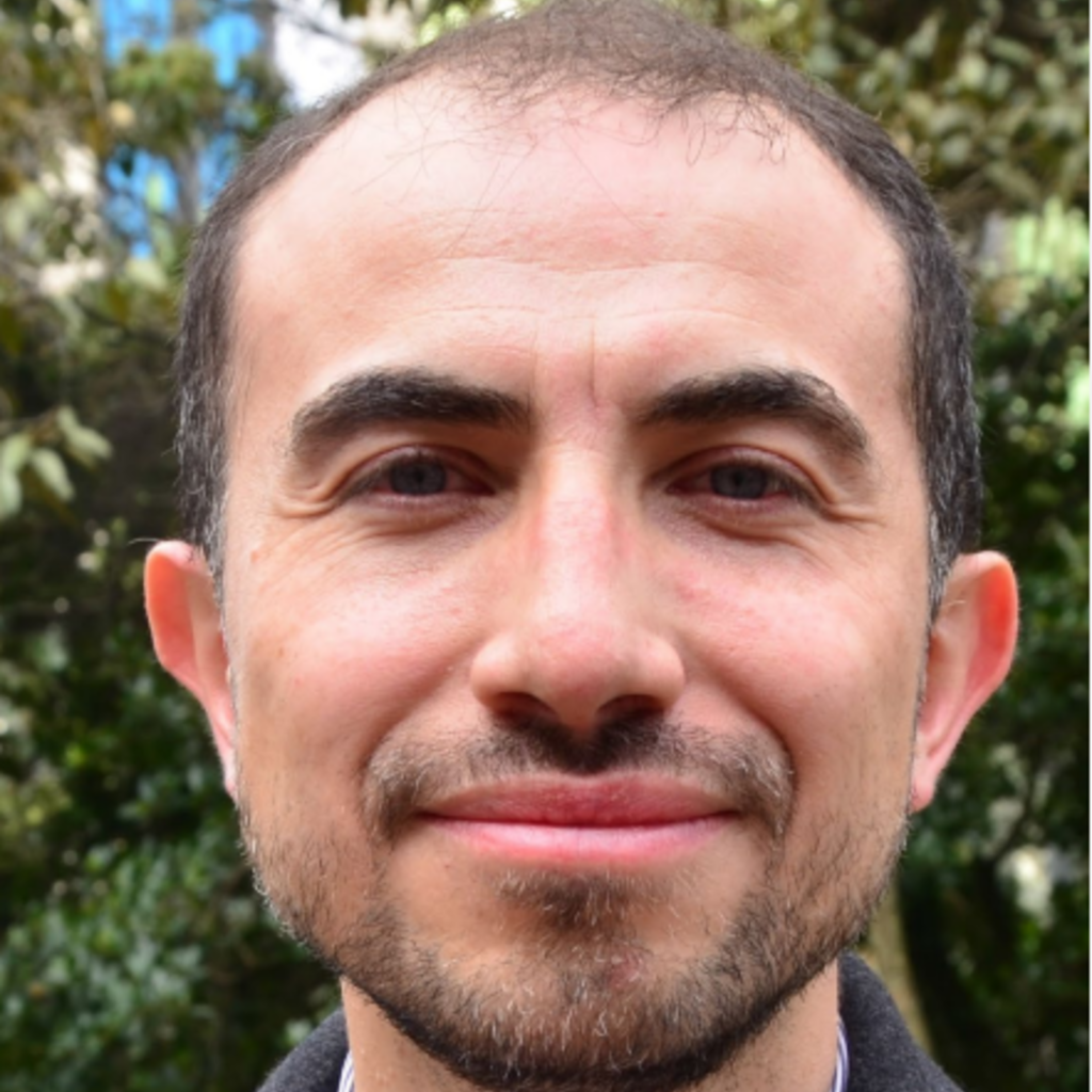Ricardo A. Pena Silva