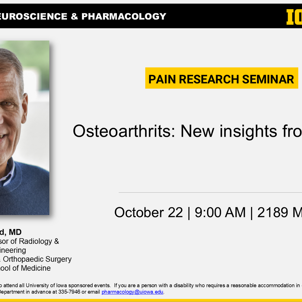 Pain Interest Group Seminar - Garry Gold, MD promotional image