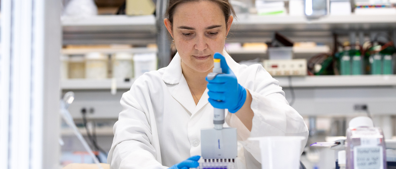 ccom research 