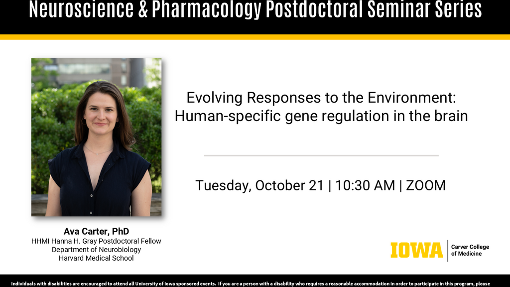 Neuroscience and Pharmacology Postdoctoral Seminar - Ava Carter, PhD promotional image
