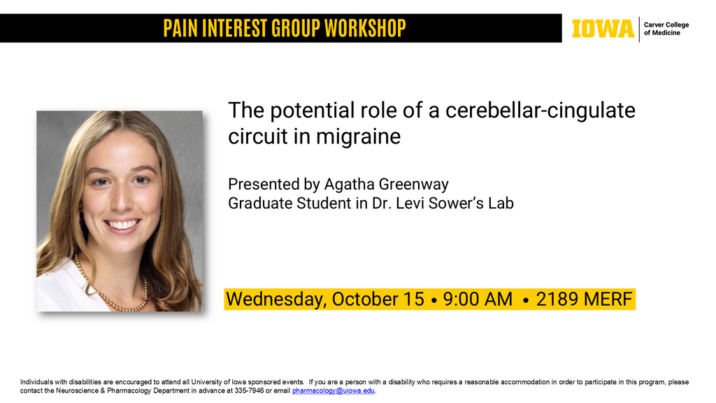 Pain Interest Group Workshop - Agatha Greenway promotional image