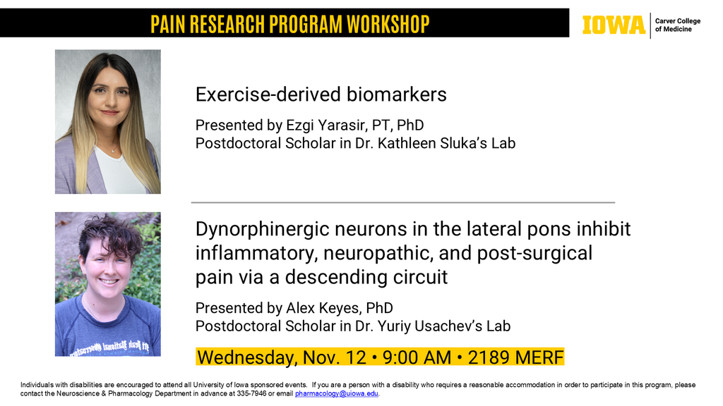 Pain Interest Group Workshop - Ezgi Yarasir, PT, PhD and Alex Keyes, PhD promotional image