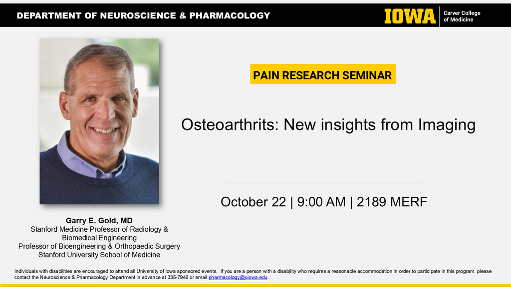 Pain Interest Group Seminar - Garry Gold, MD promotional image